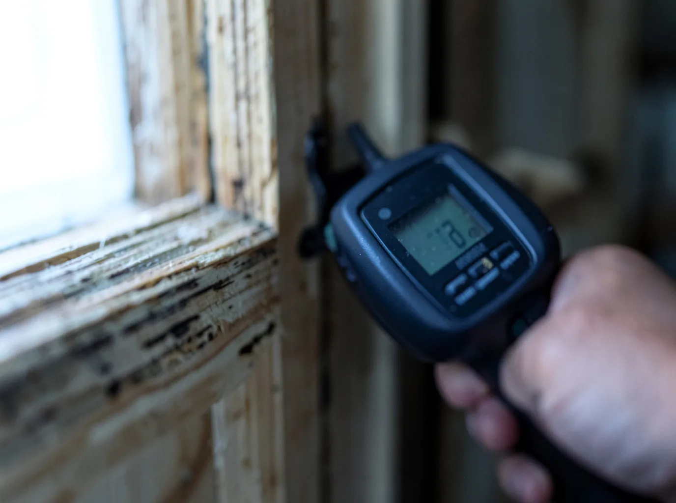 Moisture Inspection And Documentation in Hartville, WY
